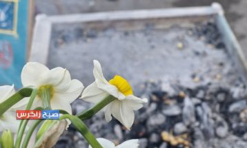 آغاز زندگی مشترک زوج جوان باشتی در موکب امامزمان (عج)