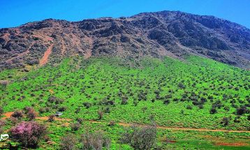 طبیعت بکر «زنگویی» کوهستان دنا
