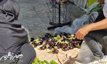زندگی عادی شهروندان باشتی زیر سایه جنگ